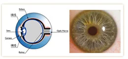 Iris Retina Farkı